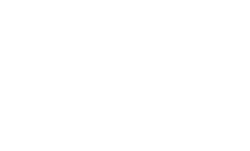 Waxed Pro Detailing Logo
